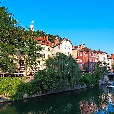 Adhoc Ljubljana